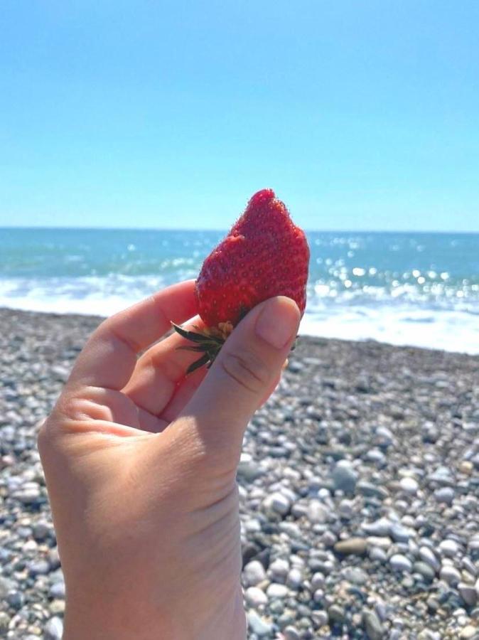 Бунгало Мини Отель, Пицунда , Лдзаа Luaran gambar